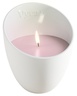 Vyrao ROSE MARIE Candle 570 g