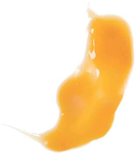 multi hyaluronic antioxidant hydration serum