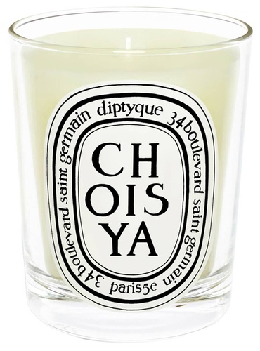 Standard Candle Choisya