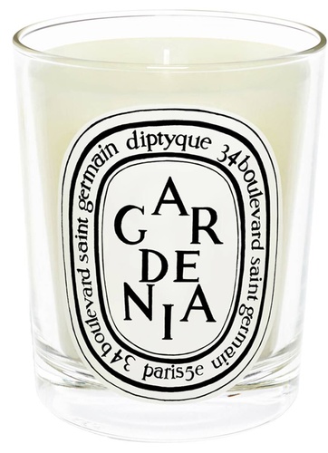 Standard Candle Gardenia