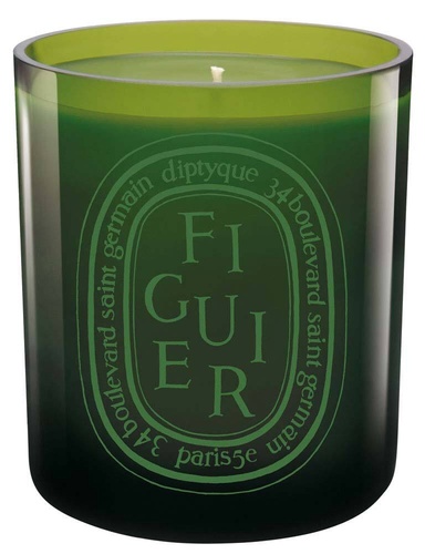Green Candle Figuier