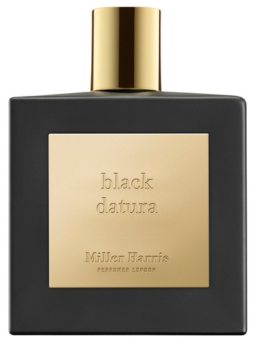 Black Datura