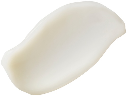 hyaluronic intensive moisturizer