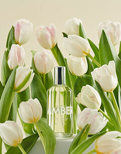 Laboratory Perfumes Amber