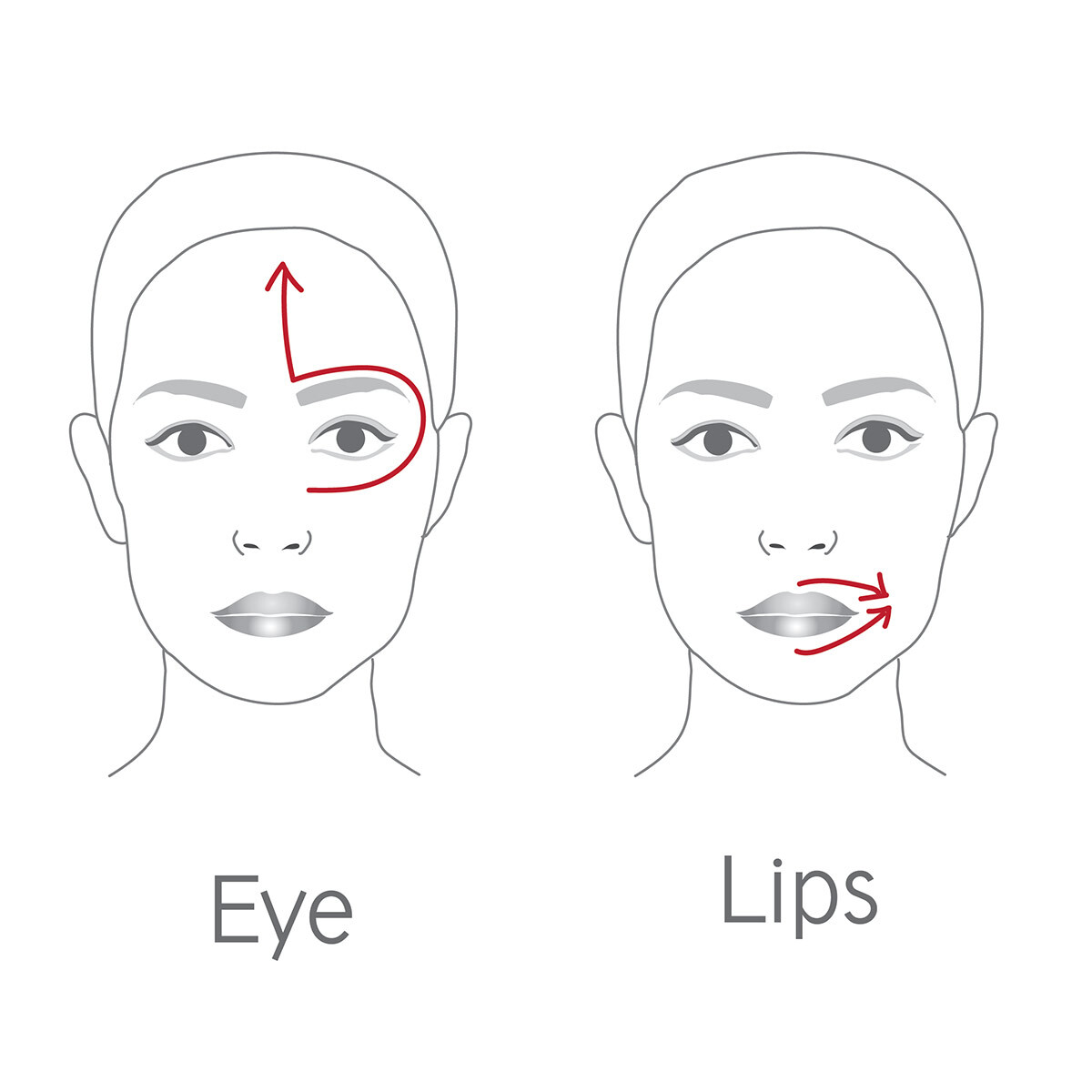 DR. LEVY SWITZERLAND The Contour Pro » buy online NICHE BEAUTY