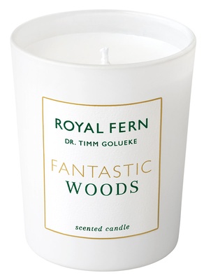 Royal Fern Fantastic Woods Scented Candle