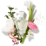 Creed Love in White for Summer 75 ml