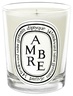 Diptyque Standard Candle Ambre 190 g